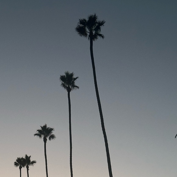 Meet your Posher, Chantel. - Picture 1 of 1